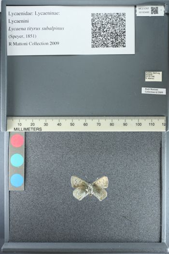 Media type: image;   Entomology 183490